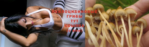 экстази Абаза