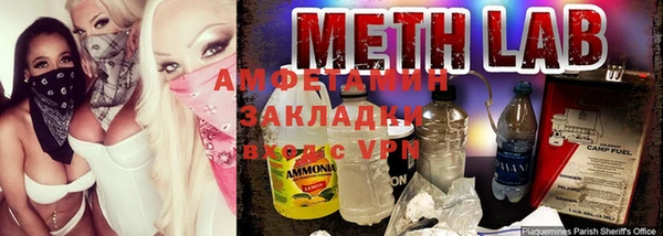 индика Михайловск